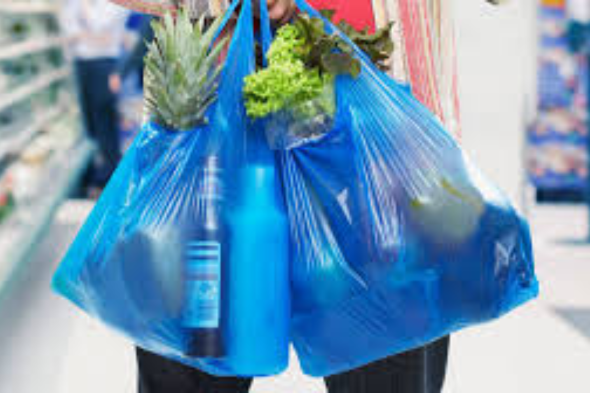 Obchodná inšpekcia si posvieti na igelitky