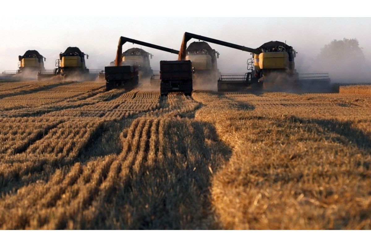 Potraviny zdraželi aj kvôli suchu