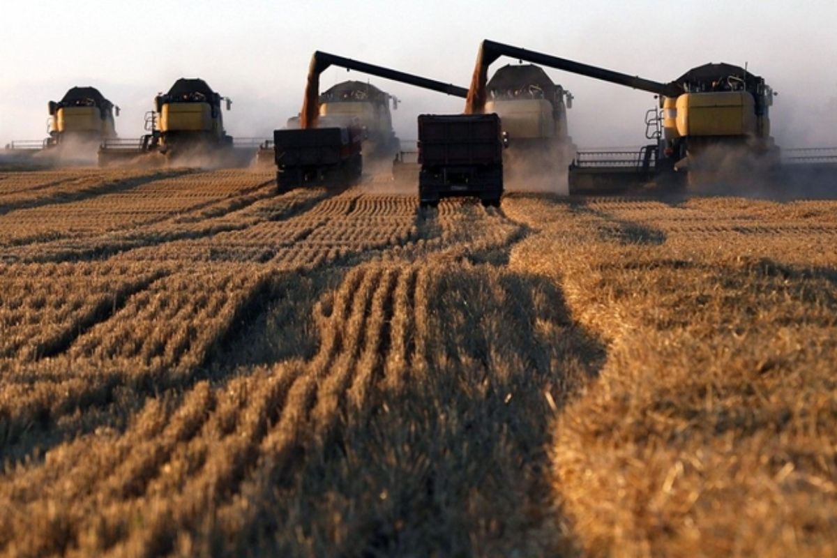 Najhoršia úroda obilnín za posledných šesť rokov