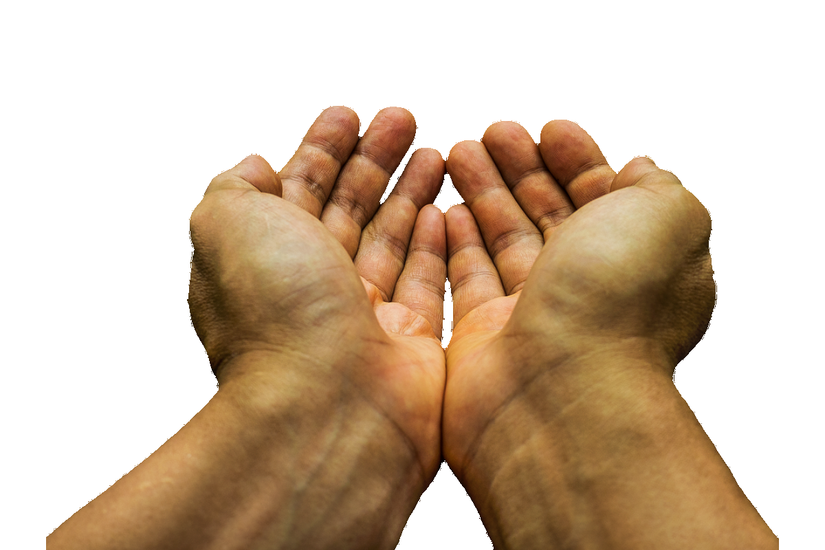 Českí predajcovia už musia, naši len môžu, darovať potraviny charite