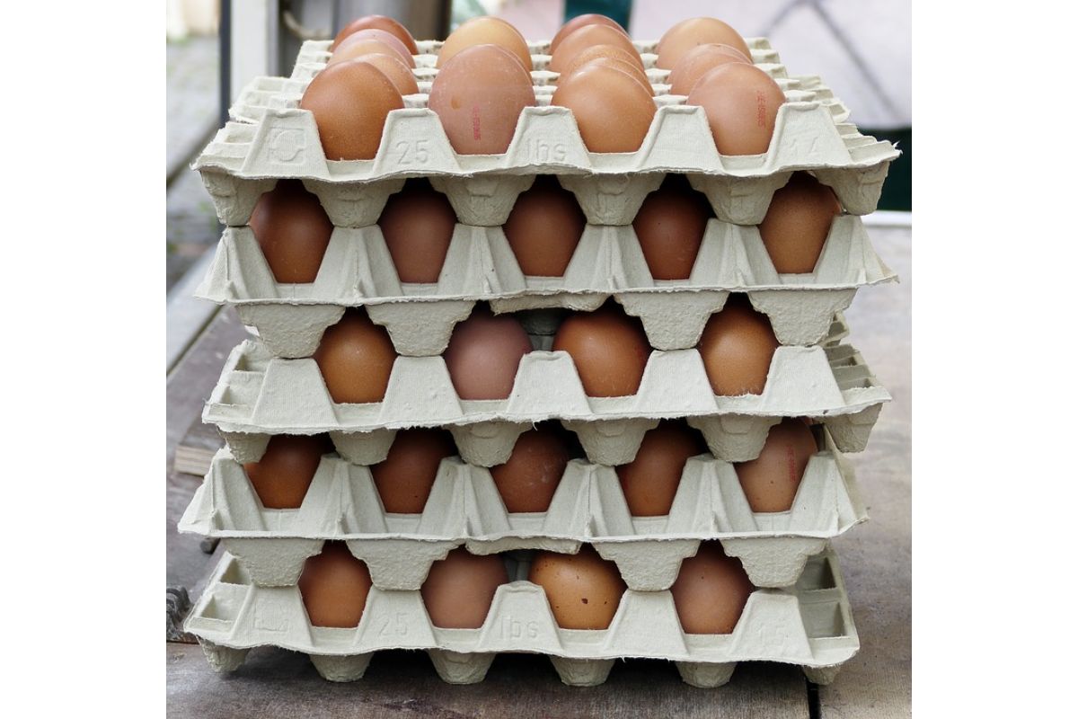 Obchodníci začali z pultov sťahovať lacnejší druh vajec z klietkového chovu