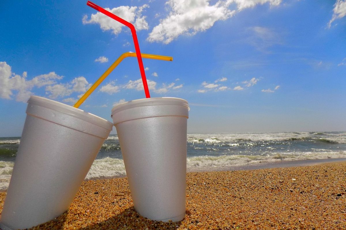 Europarlament schválil zákaz jednorazových plastov od roku 2021