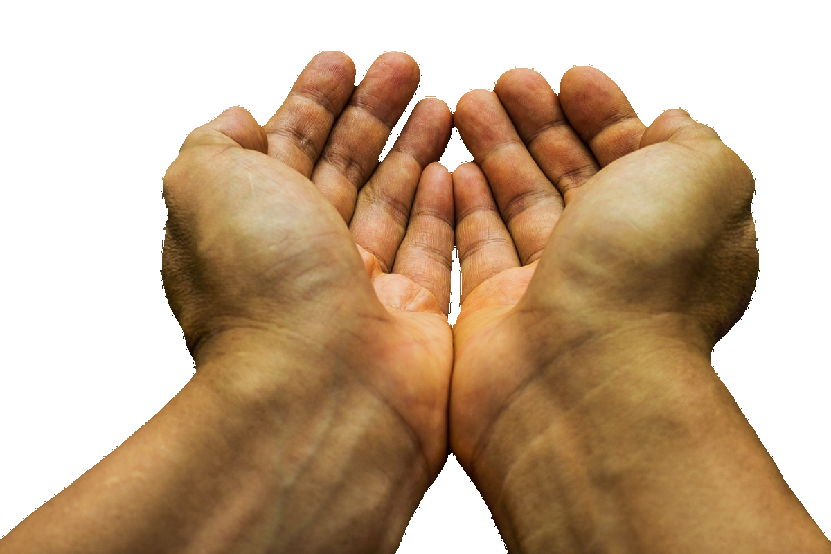 Darovanie potravín by malo byť povinné