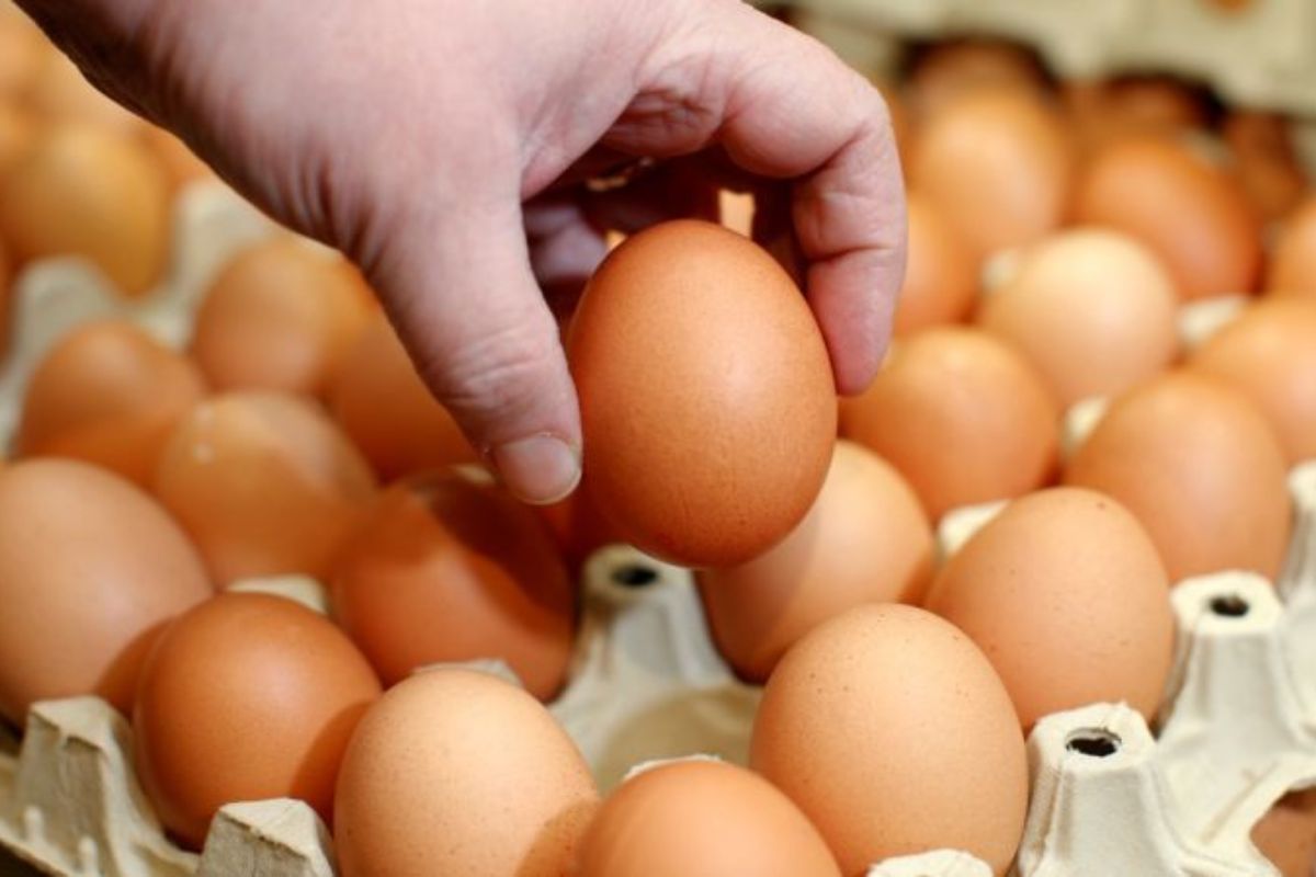 Ochranári a COOP Jednota sa sporia o predaj vajec z klietkového chovu