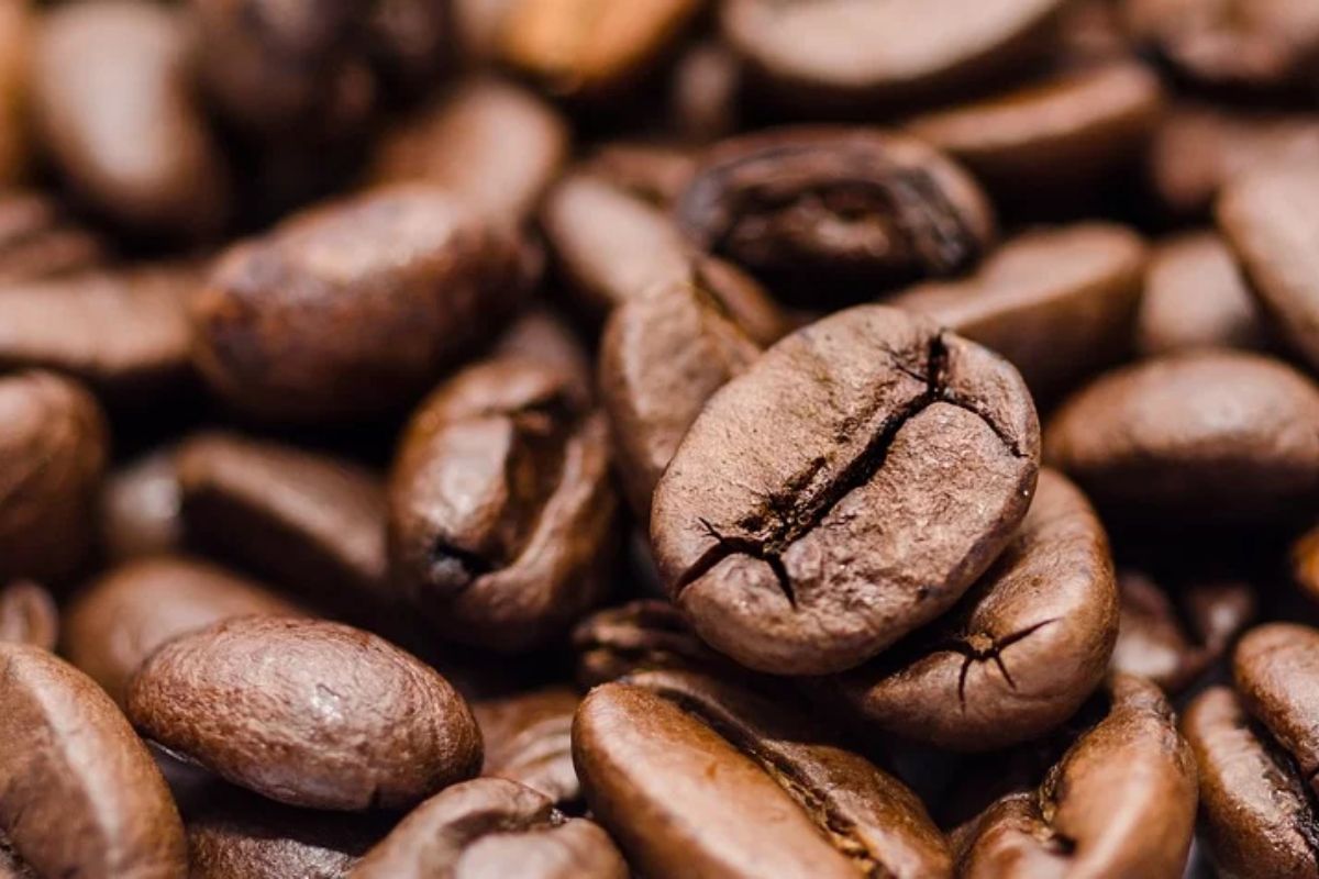 ČERSTVOSŤ A POHODLIE OVPLYVŇUJÚ TRENDY PRI NAKUPOVANÍ KÁVY