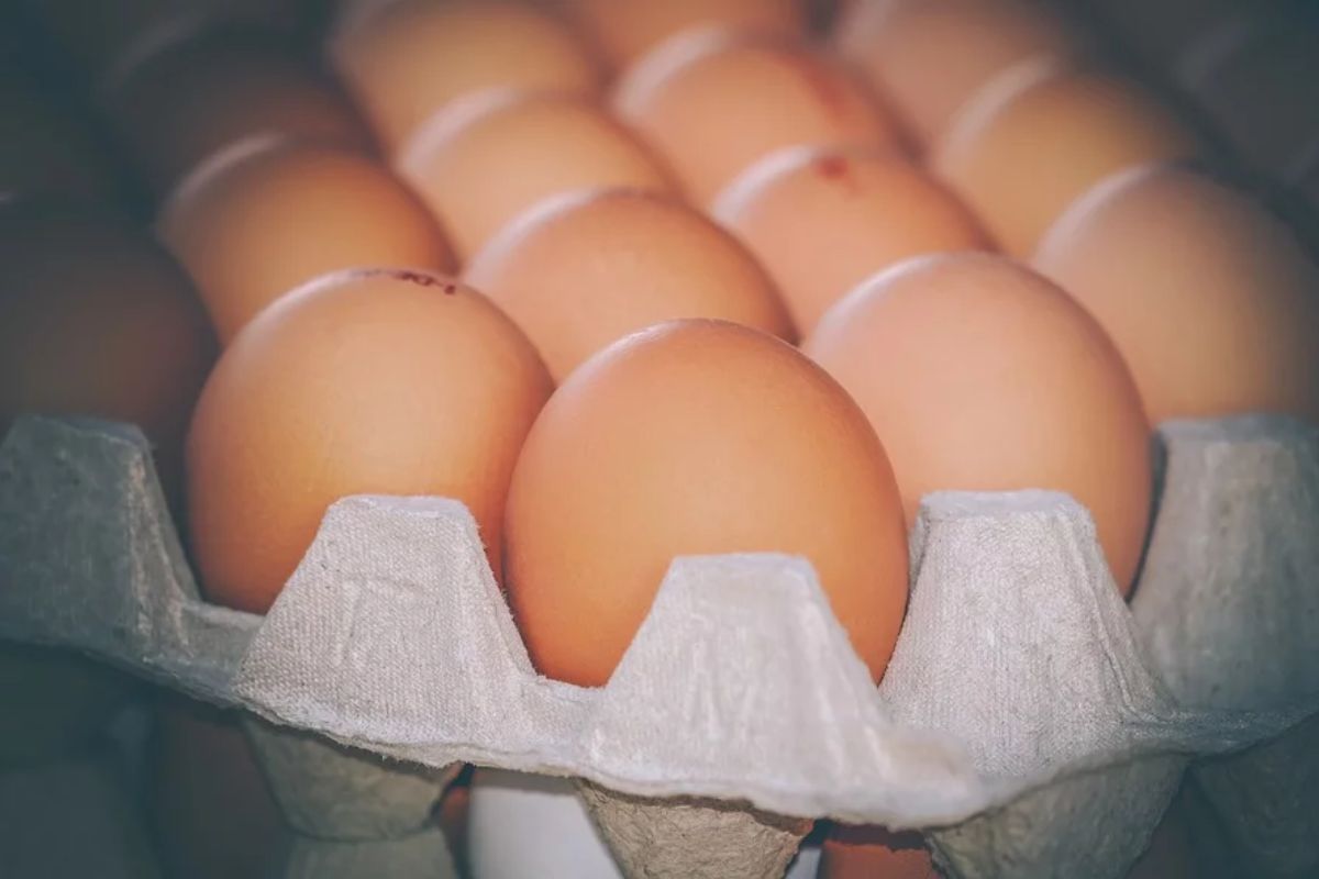 Ohrozenie sebestačnosti vo výrobe vajec