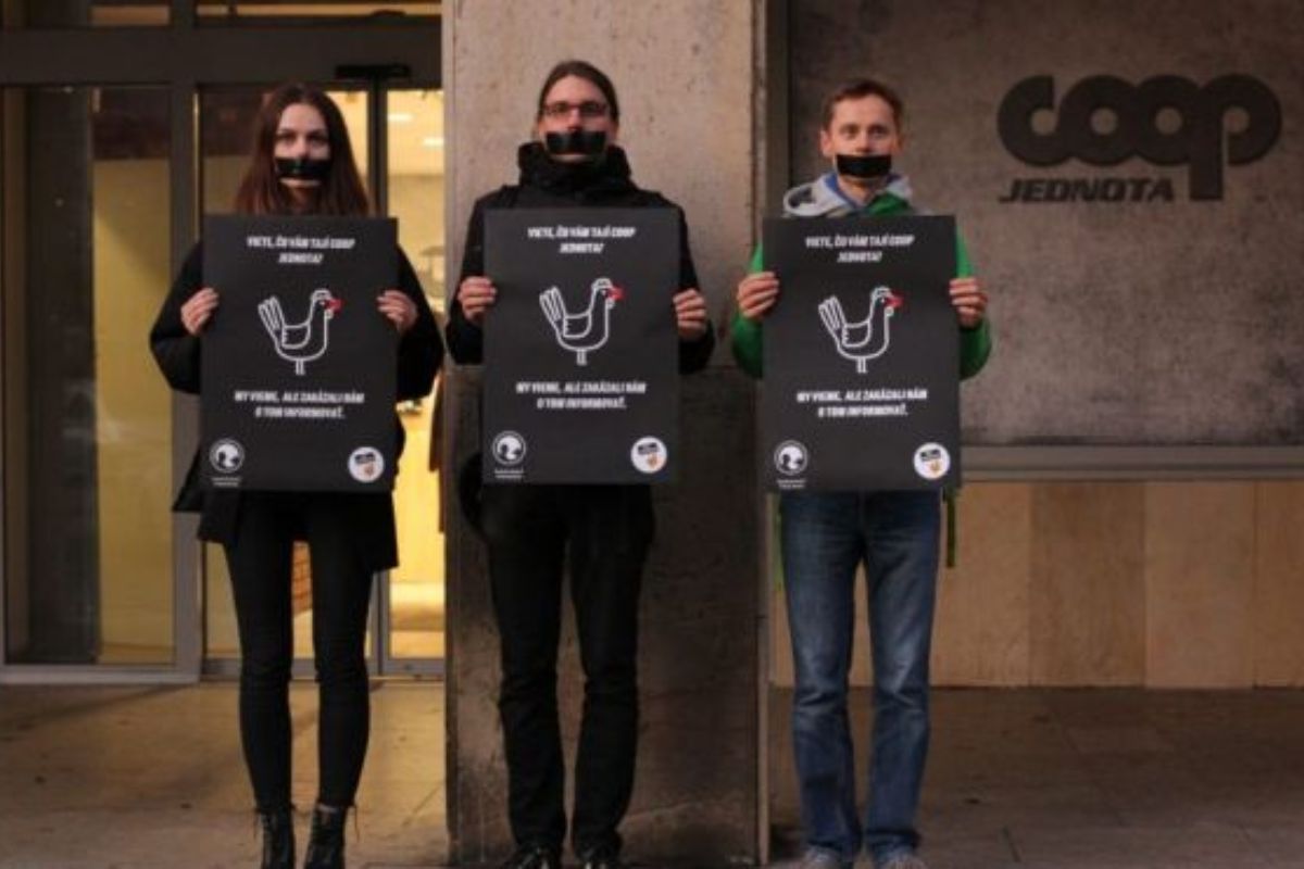 Ochranári zvierat vyhrali súdny spor s COOP Jednota