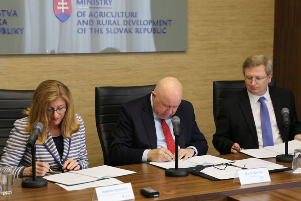 Rezká odpoveď na tlak zvonka