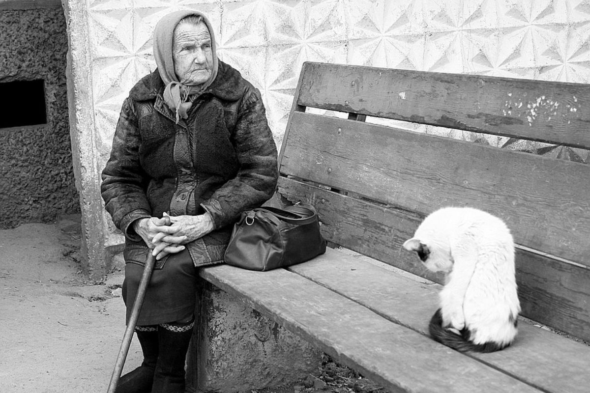 Zásobovanie potravinami verejným záujmom