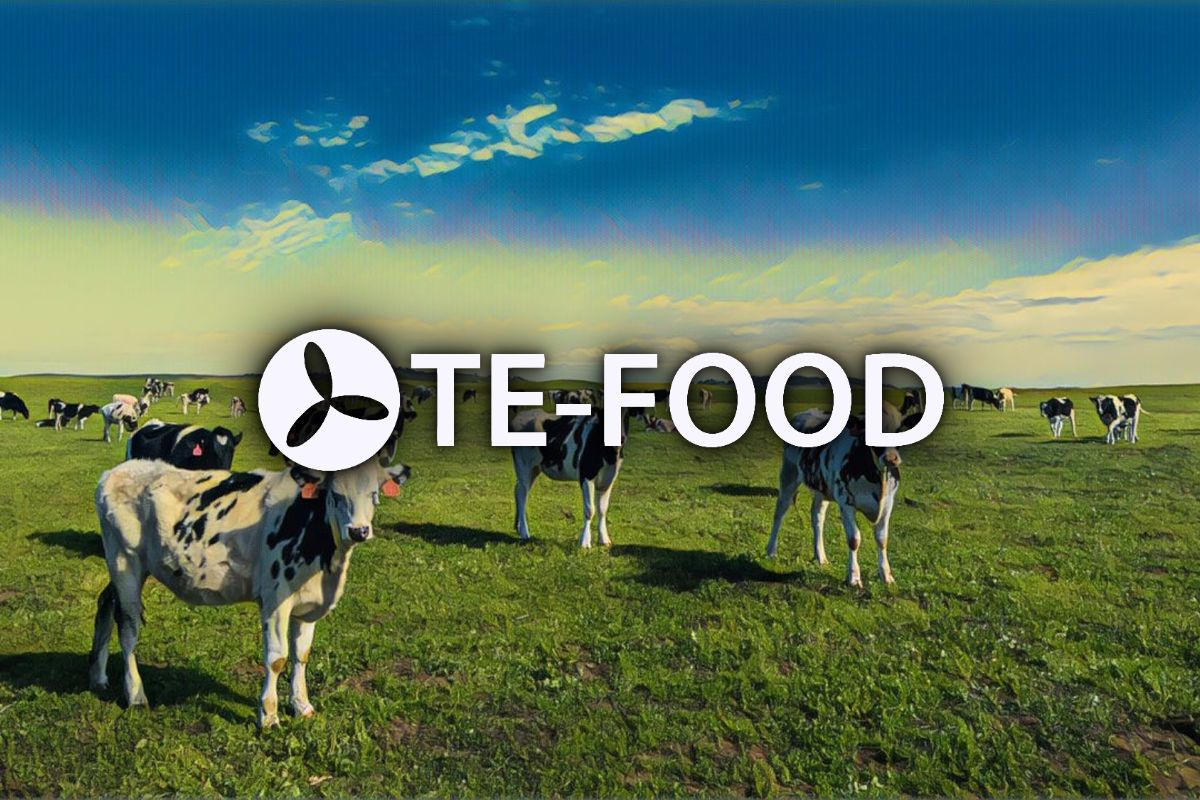 Vytvárame novú kategóriu – transparentné potraviny