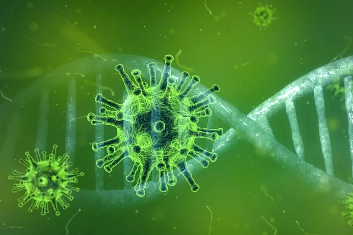 MIMORIADNE OPATRENIA NA ZABRÁNENIE ŠÍRENIA KORONAVÍRUSU