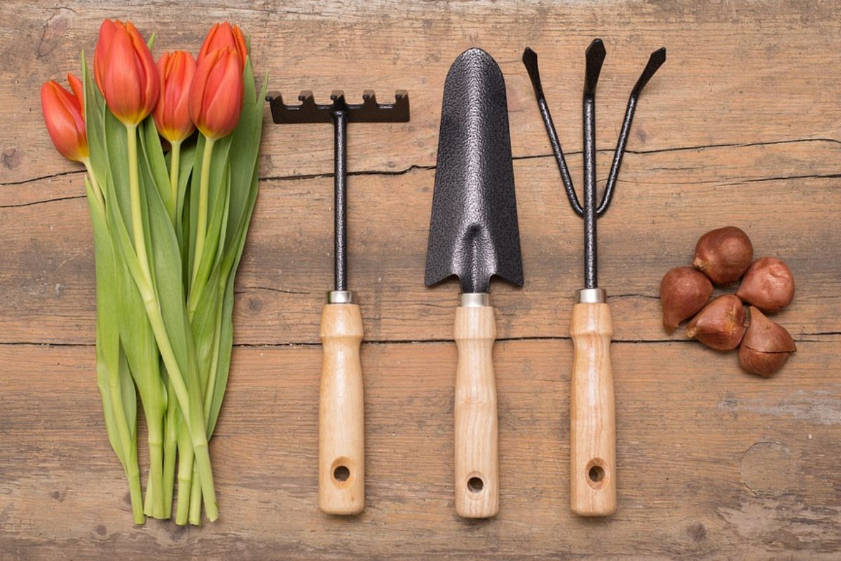 Niektoré obchody a služby sú oddnes opäť otvorené